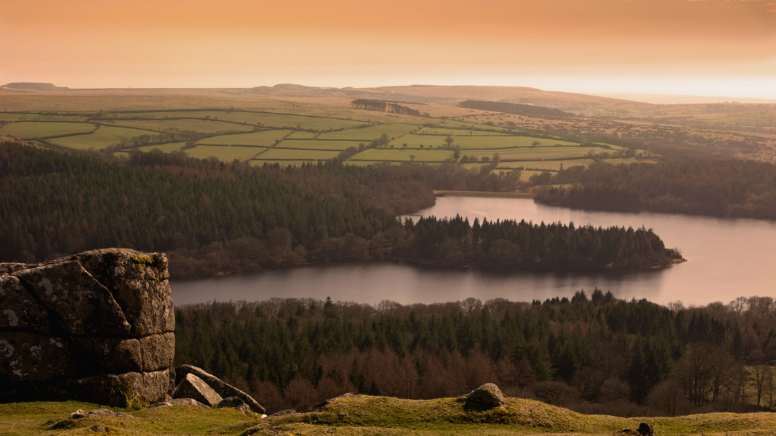 Dartmoor lodges for sale