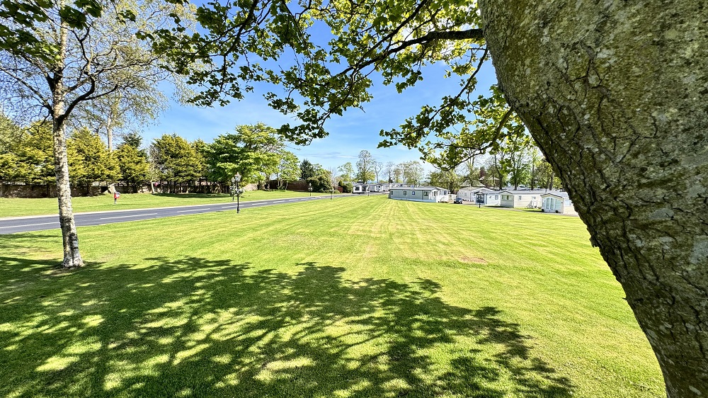 caravans for sale arbroath