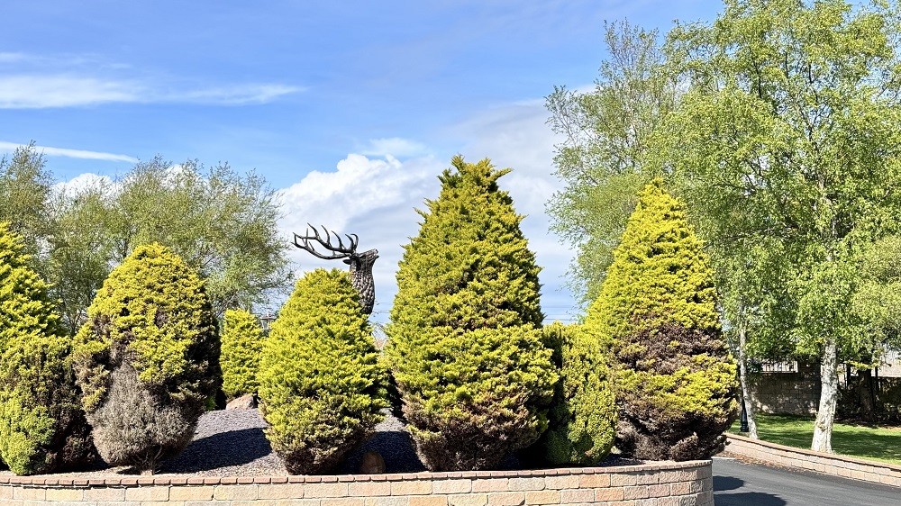 seaton caravan park arbroath