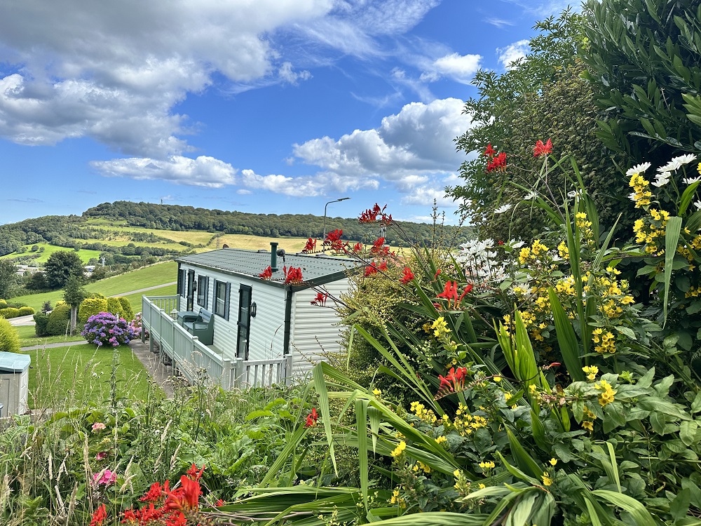 lodge view