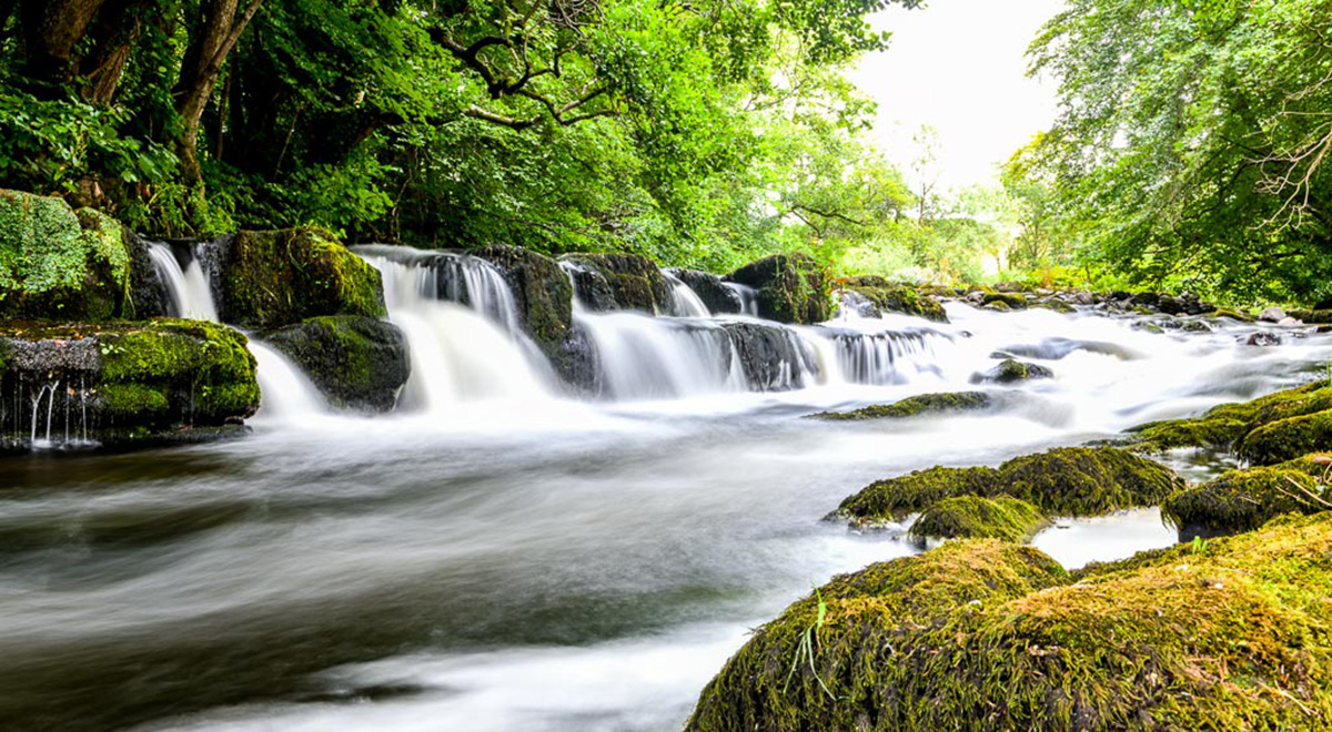 Beauty of Cumbria