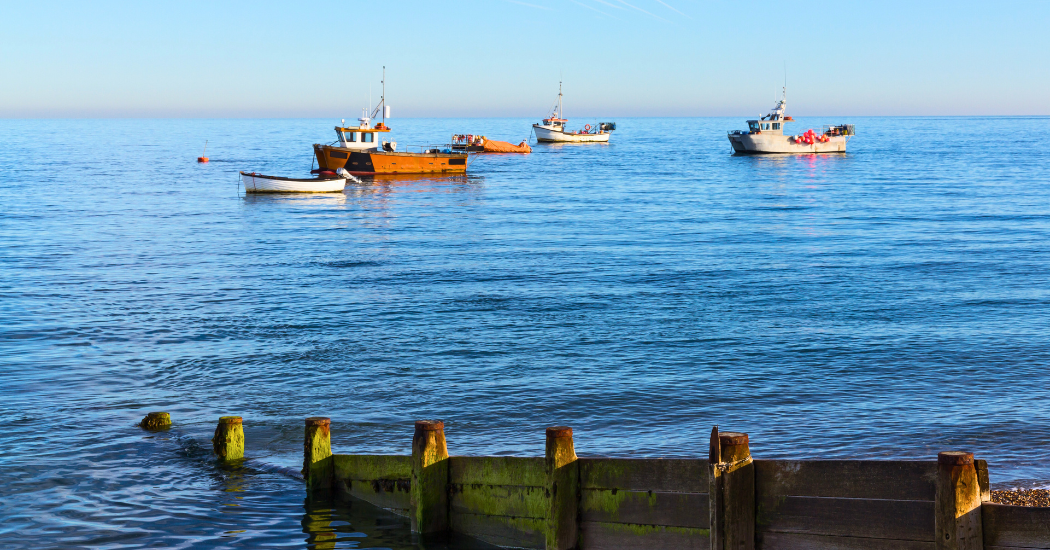 seal bay beach