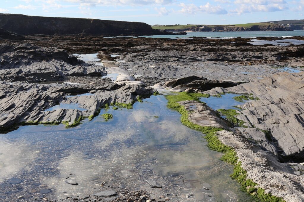 cayton bay